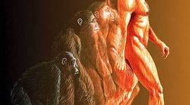 Timeline: Desarrollo de las teorías de la evolución