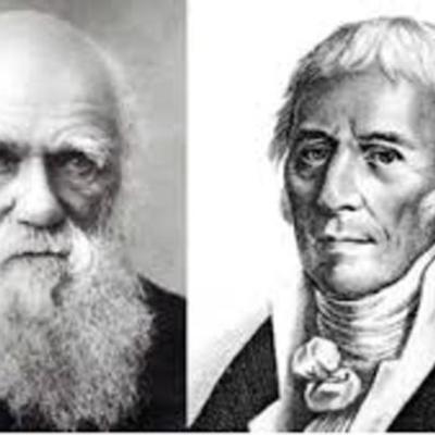 Timeline: Linea del tiempo. Desarrollo de las teorias de la evolucion.