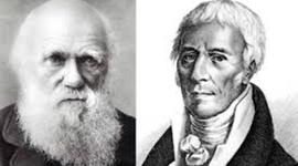 Timeline: Linea del tiempo. Desarrollo de las teorias de la evolucion.