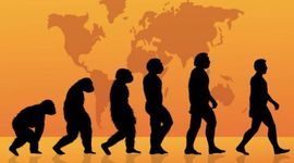 Timeline: Teoria de la evolucion