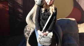 Timeline: What Doesn't Kill You...