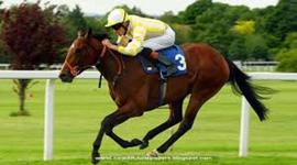 Timeline: history of film