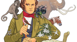 Timeline: Desarrollo de la teoria de la evolucion.