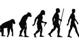 Timeline: DESARROLLO DE LA TEORIA DE LA EVOLUCIÓN