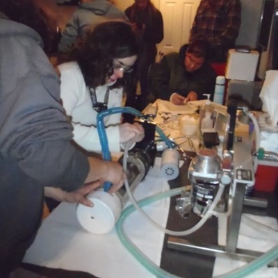 Timeline: adventures of farreting