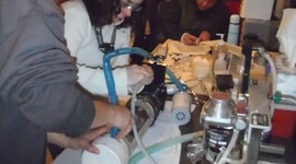 Timeline: adventures of farreting