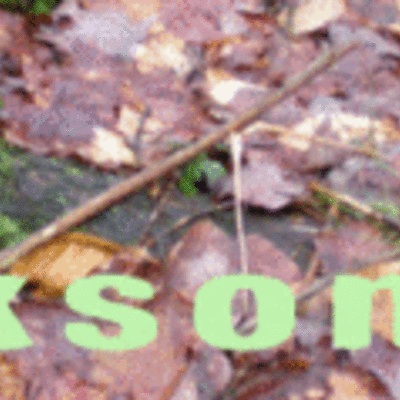 Timeline: Jackson Hollow