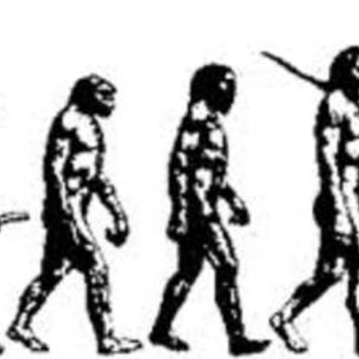 Timeline:  Evolutiono f Democracy