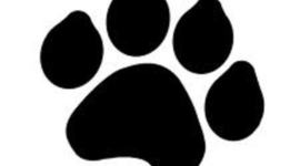 Timeline: Animal Rights