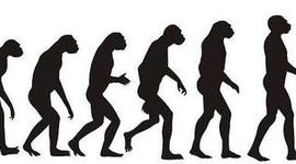 Timeline: Dynasties Fuedal  封建社会的朝代