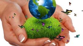 Timeline: Los Precursores de la ecología