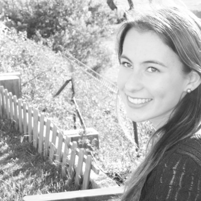 Timeline: Linha do tempo