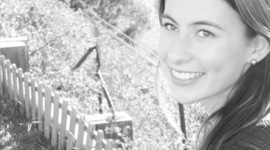 Timeline: Linha do tempo