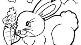 Timeline: A vida de Saricoté