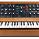 Moog minimoogd