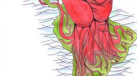 Timeline: Latin America Strikes Back