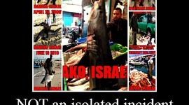 Timeline: טבח כרישים בישראל - היסטוריה של אלימות