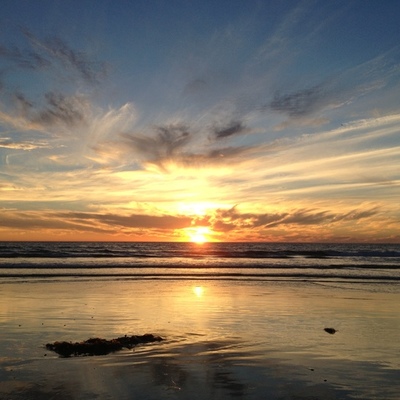 Timeline: Jesse & Michelle