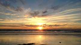 Timeline: Jesse & Michelle