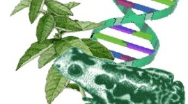 Timeline: Historia de la biologia