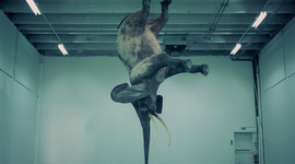 Timeline: NADIAS TIMELINE