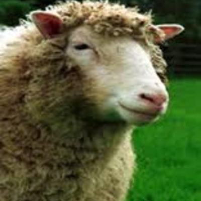 Timeline: History of Cloning Biotechnology