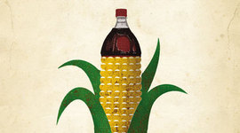 Timeline: Australian Food History