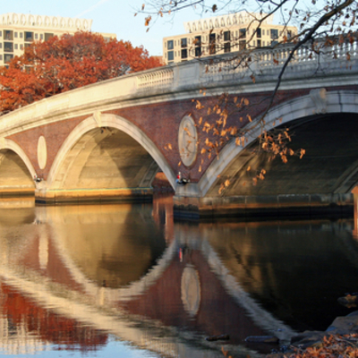 Timeline: Charles River History