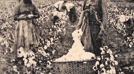 Timeline: Slavery Timeline