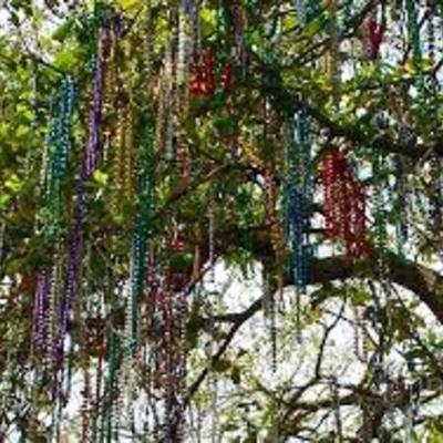 Timeline: louisiana history