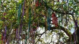 Timeline: louisiana history