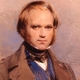 Darwin young