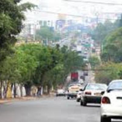 Timeline: Naturaleza enterrada en cemento