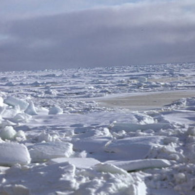 Timeline: История освоения Арктики Россией