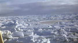 Timeline: История освоения Арктики Россией