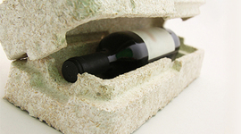 Timeline: Mushroom® Packaging