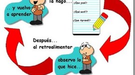 Timeline: Metacongnición