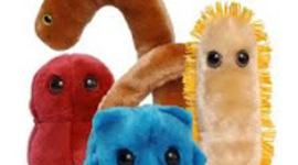 Timeline: Eventos Importantes de la Microbiologia