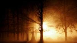 Timeline: Historia de la Luz