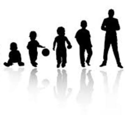 Timeline: life cycle timeline santim