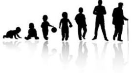 Timeline: life cycle timeline santim