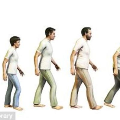 Timeline: Seven Ages of Man by: Madison Logan