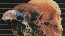 Timeline: TEORÍA DE LA EVOLUCIÓN.