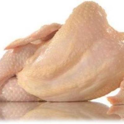 Timeline: Fermincho´s life