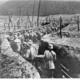 1360852126 wwi 920 23