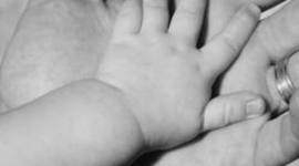 Timeline: Human Life