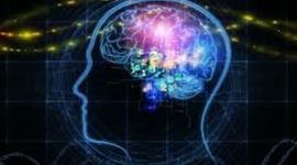 Timeline: Simulación