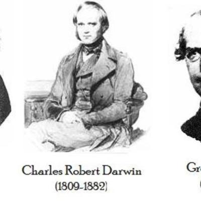 Timeline: DESARROLLO DE LA TEORÍA DE LA EVOLUCIÓN