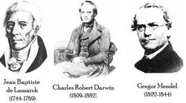 Timeline: DESARROLLO DE LA TEORÍA DE LA EVOLUCIÓN