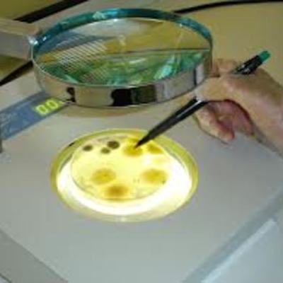 Timeline: Historia de la Microbiologia